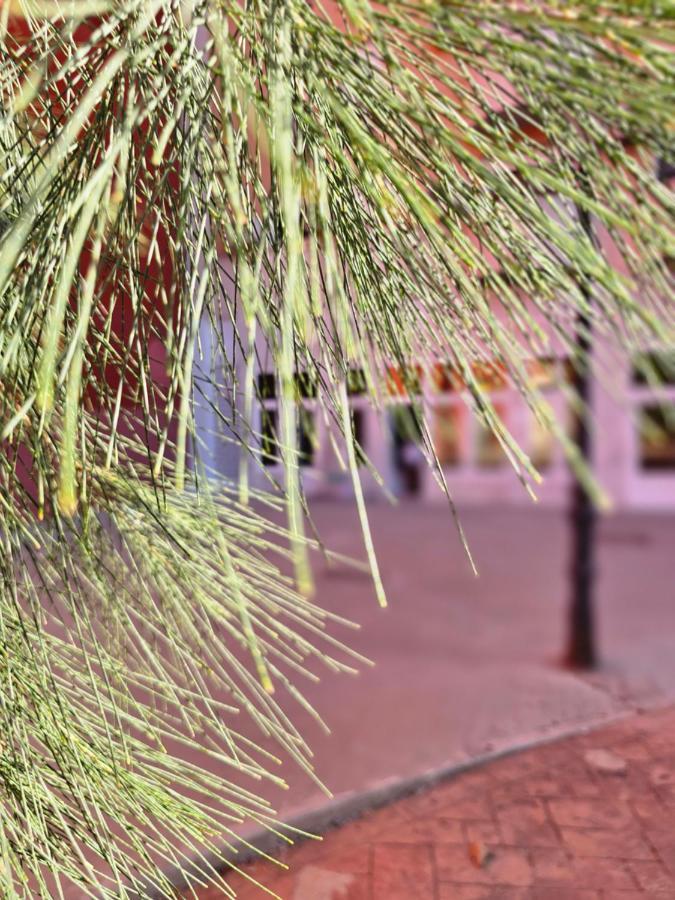 Lounge Garden Sea Mint Fresh Appartement Valencia Buitenkant foto