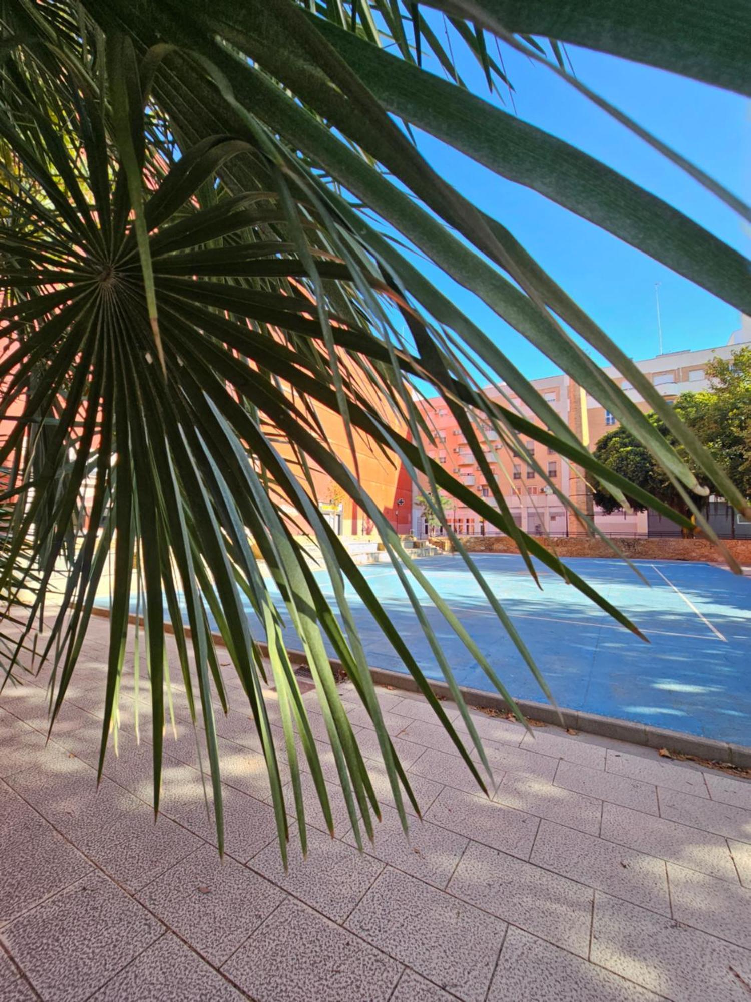 Lounge Garden Sea Mint Fresh Appartement Valencia Buitenkant foto